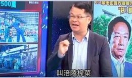 爆料台湾名嘴名单最新消息,台湾名嘴名单大揭秘，热点事件背后真相揭晓